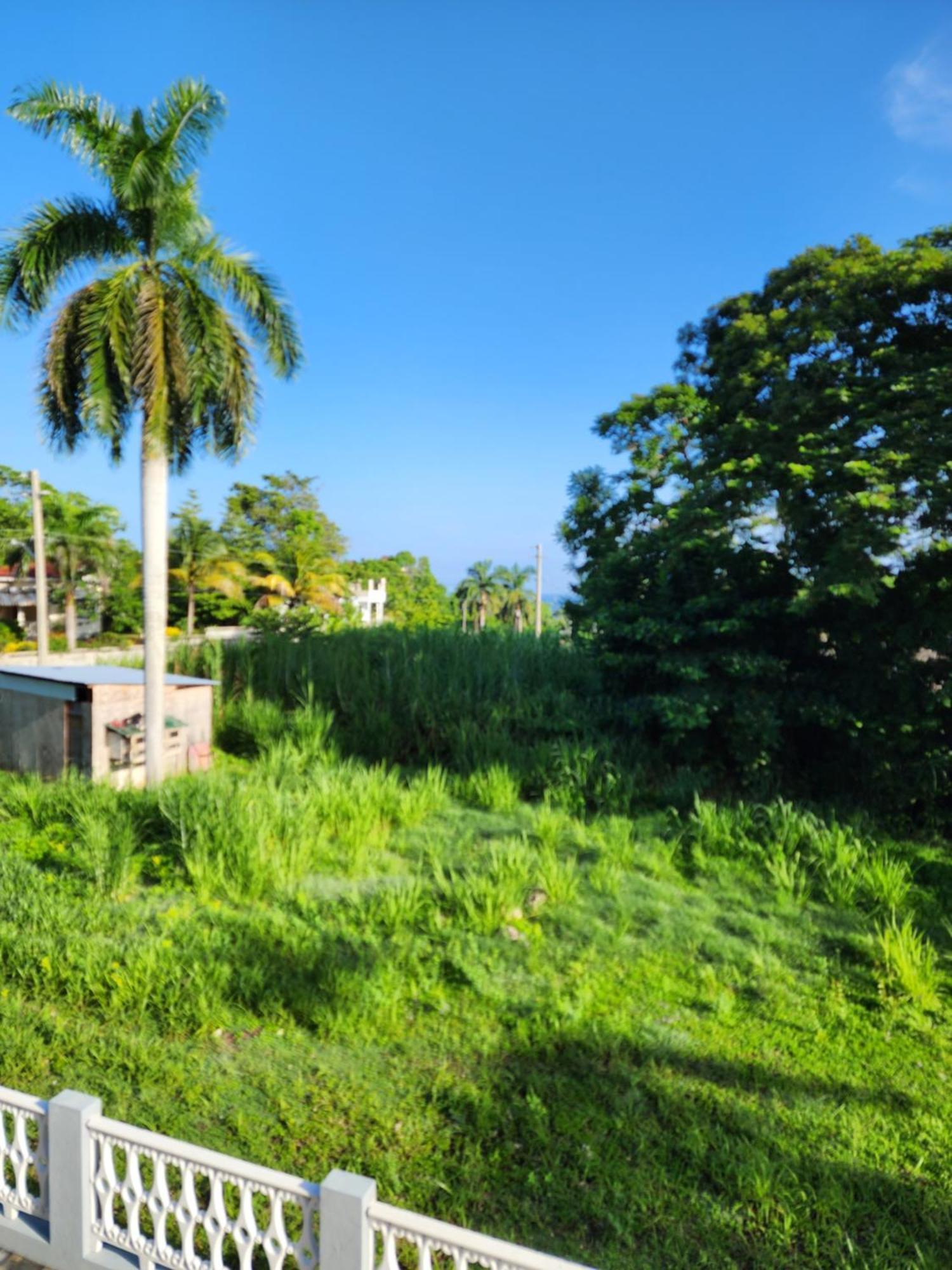 Paradise Nestled Between Montego Bay And Negril Hopewell Exterior foto